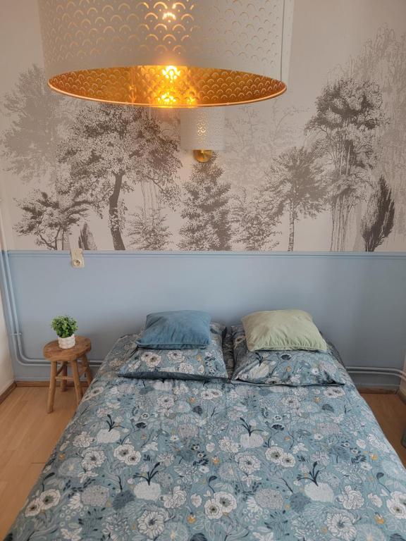 Chambre Lumineuse - Centre et Chateau - Cuisine Partagée et Salle de Bain Privée - 1