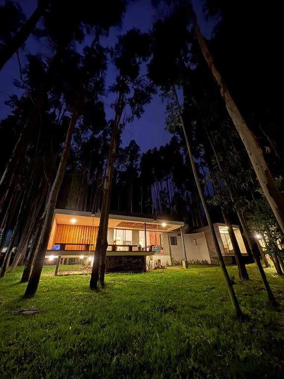 Eucalyptus Forest Villa - The Perfect Escape - 4