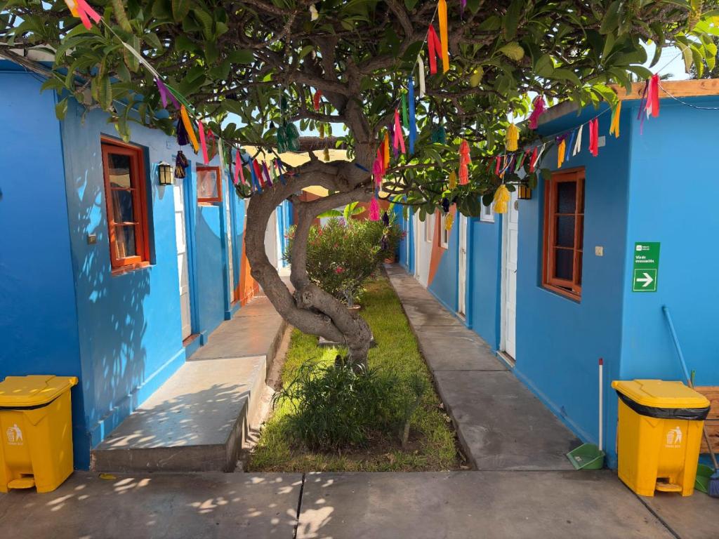 Illariy Wasi Hostal - 2