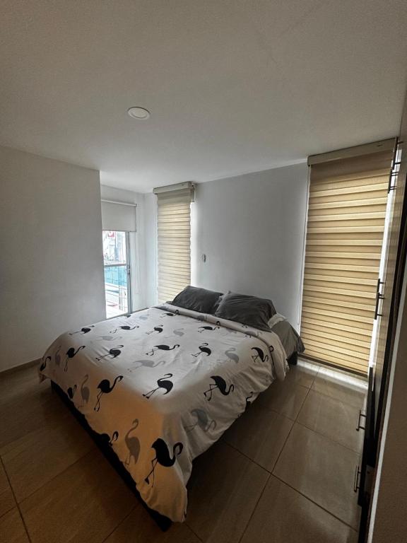 Apartamento amplio y acogedor - 2