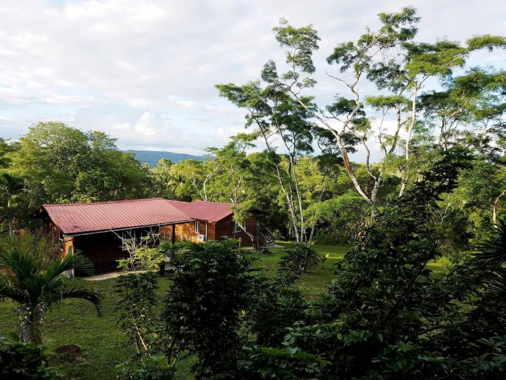 Ban công/sân hiên