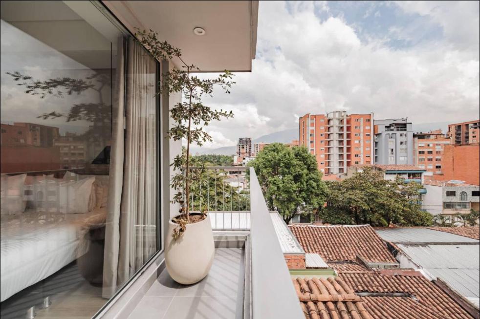 Exclusive - Studio - Apartment - 5