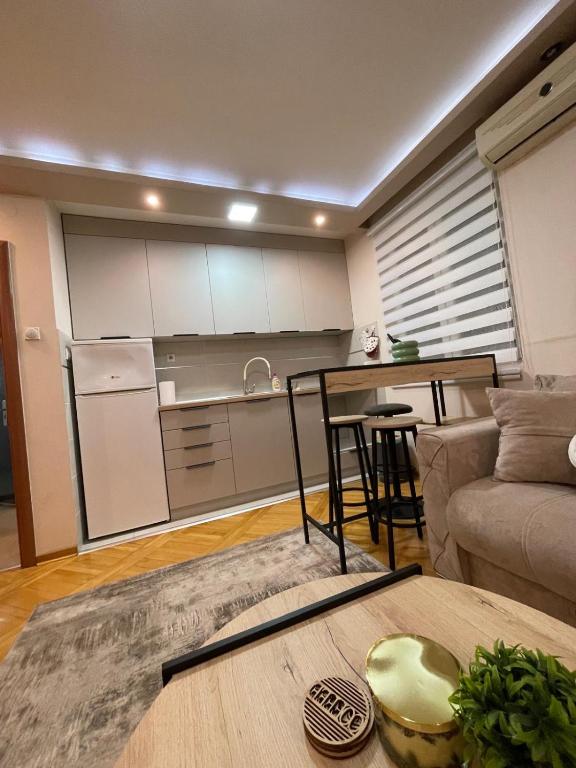 Apartman u centru Niša - 4