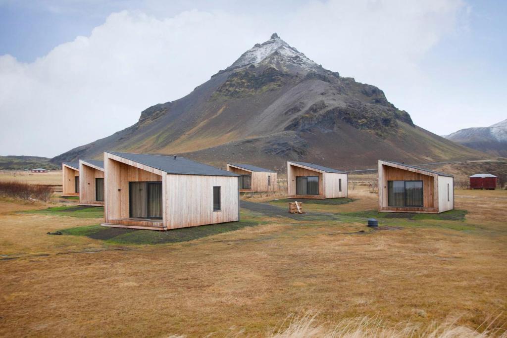 Arnarstapi Cottages photo