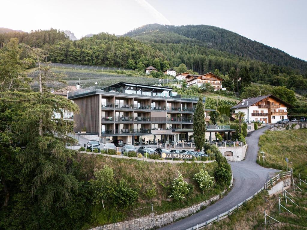 Hotel Alpenrose - 1