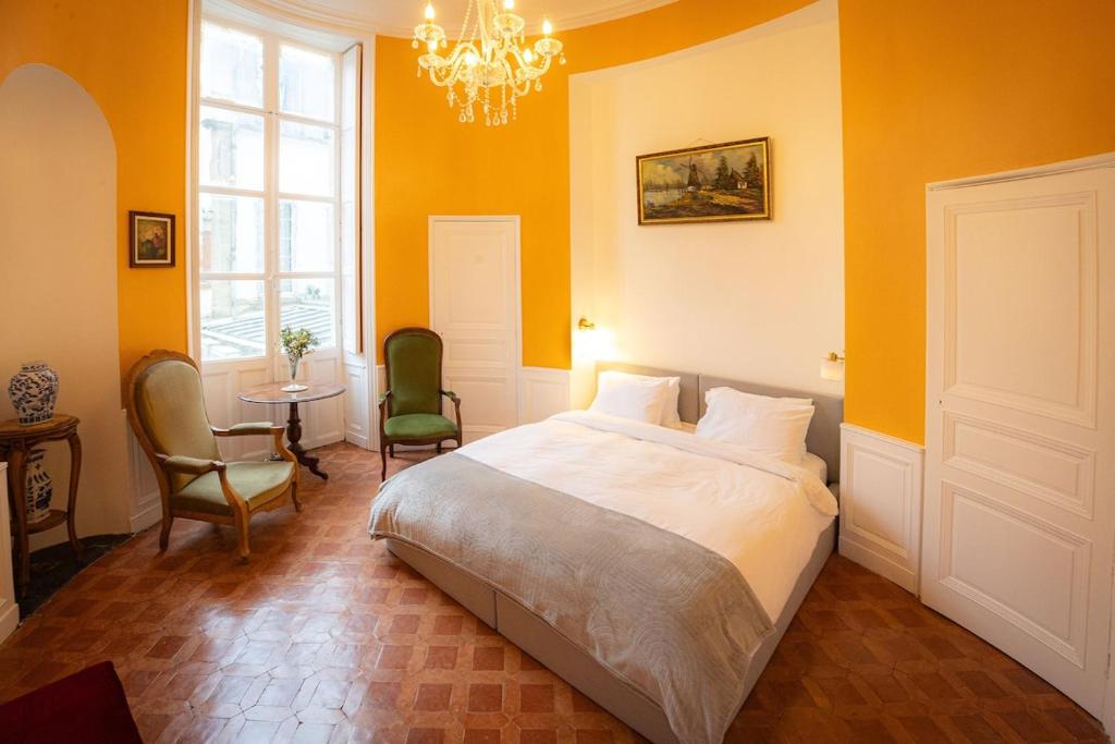 Spacious apartment in the heart of Carcassonne - 1