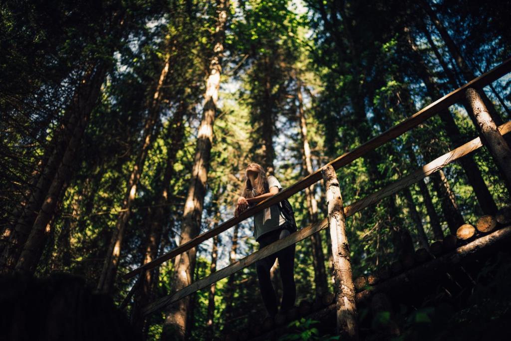 Torghele's Wald & Fluh - 2