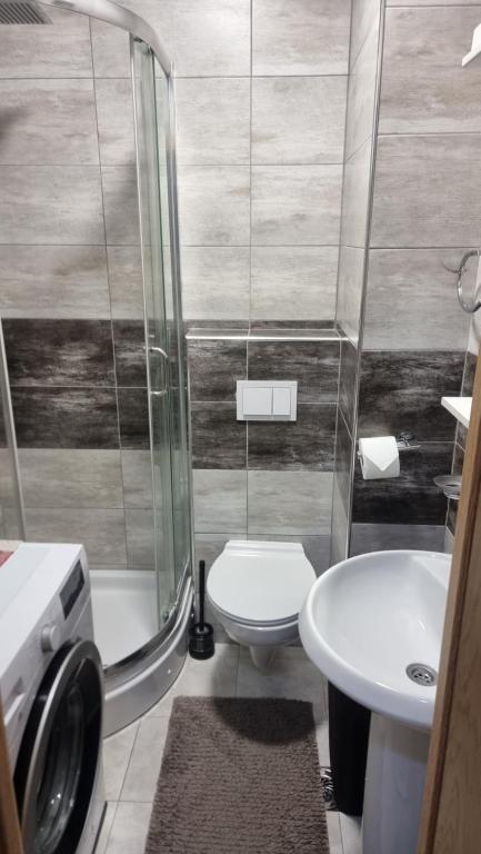 Goca Apartman Budva - 2