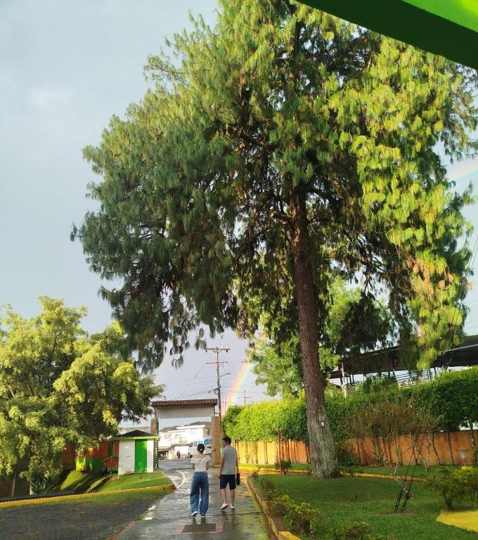 Surrounding environment