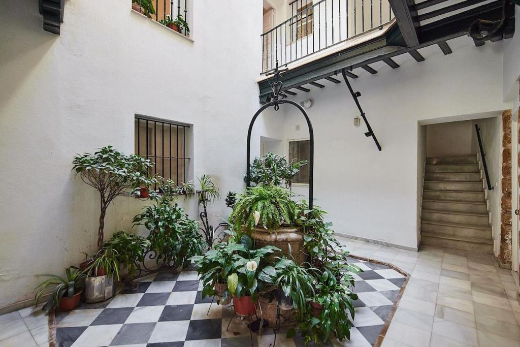 Apartment Mesón Cádiz by LiveWork - 3