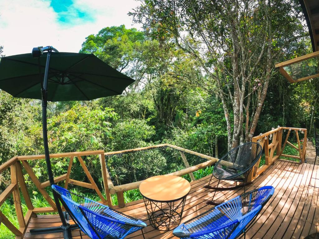 Glampbird-Tangara Real - 4