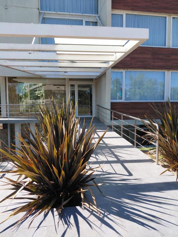 HABITAE SENIOR SUITES ex Rental Suites Pilar - 2