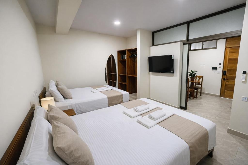 studio confort - 3
