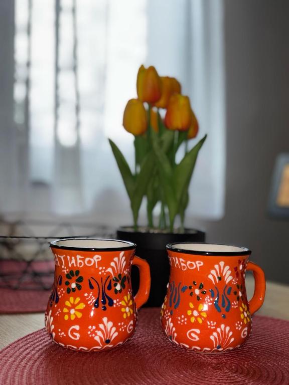 Apartman Jevtic Zlatibor - 4