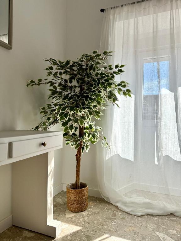Suite Boutique Osario - 5