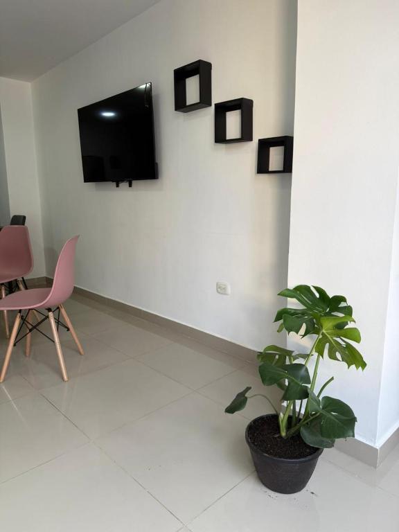 Moderno Apto central - 4