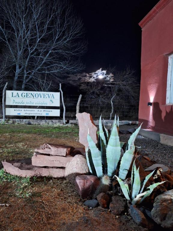 La Genoveva Posada entre Viñedos - 1