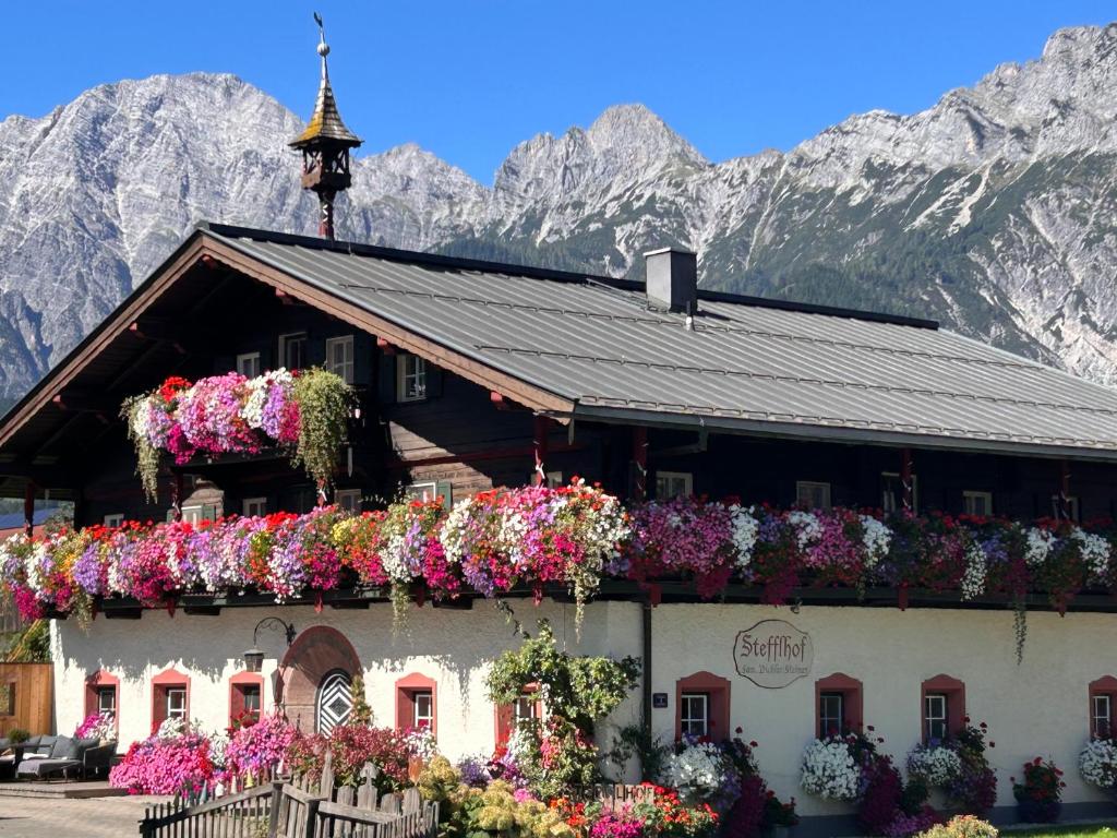 Appartement & Ferienwohnung am Baby & Kinderbauerhof Stefflhof - 1