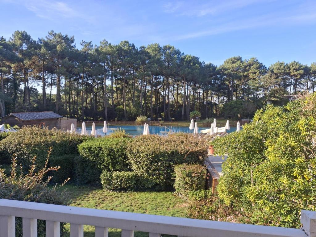 Domaine du Golf Muscadelle - 3