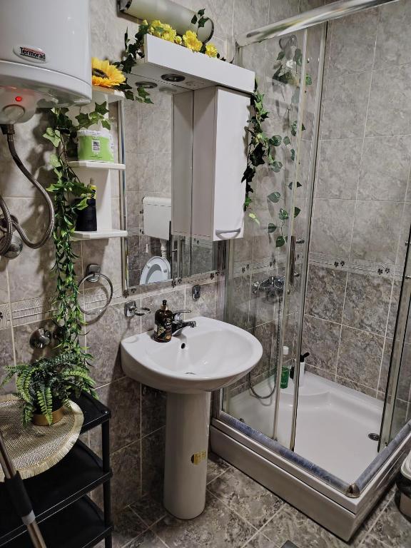 BG apartman - 5