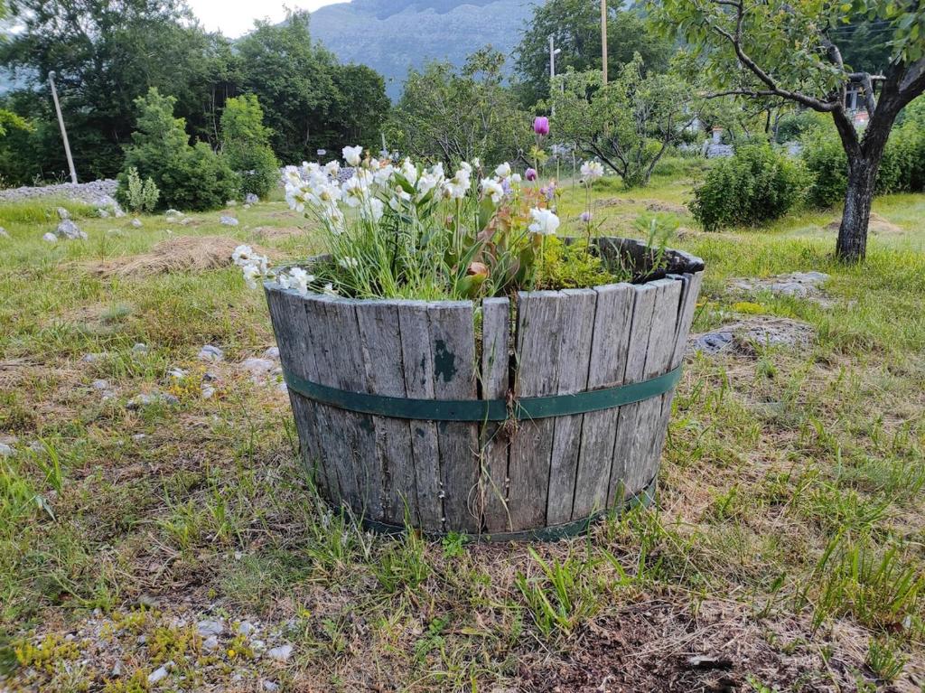 Cozy house Vrbanj, Via Dinarica Trail - Orjen - 5