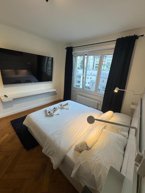 Cosy studio in Lausanne Flon - 5