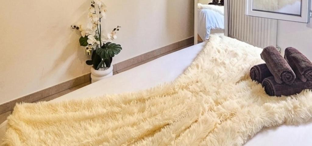 Appartement Cosy Dans Un Ecrin De Verdure -Nice - 5