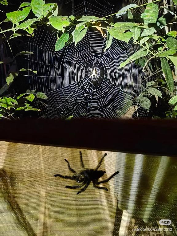 Tambopata Haven lodge - 4