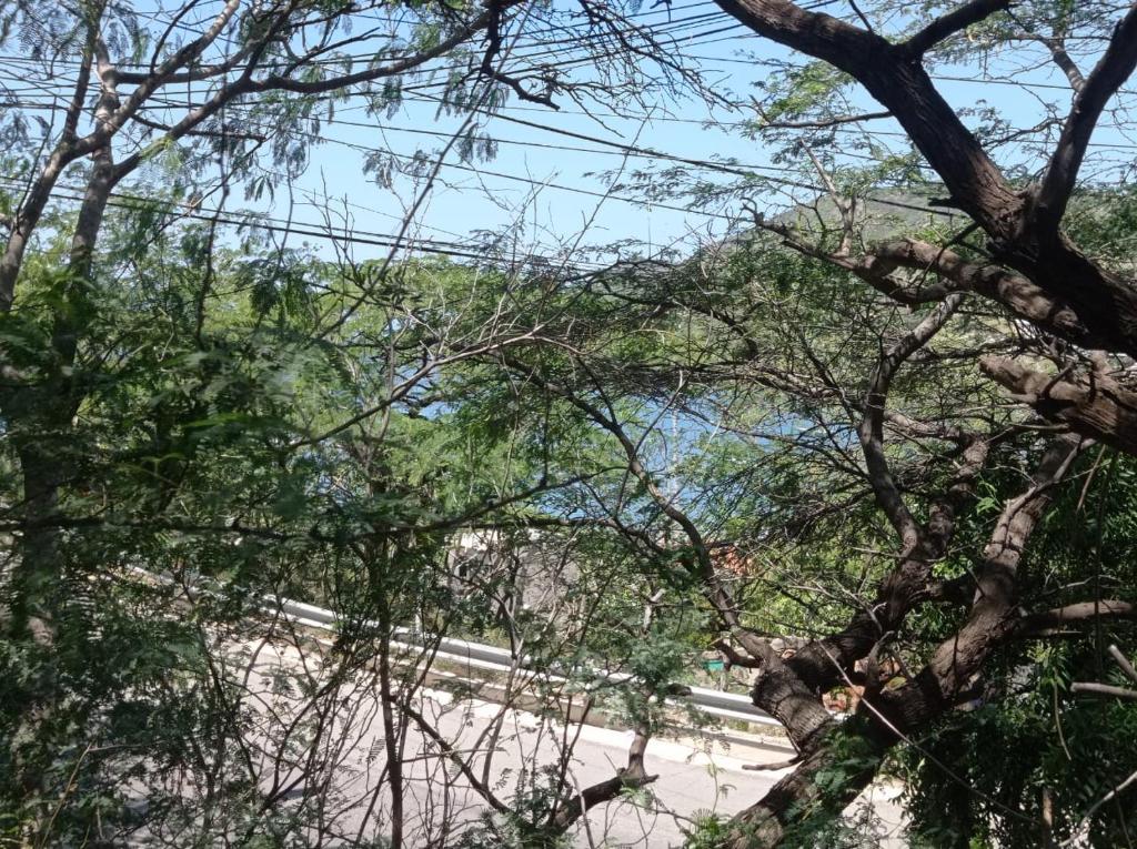 Taganga Suites - 3