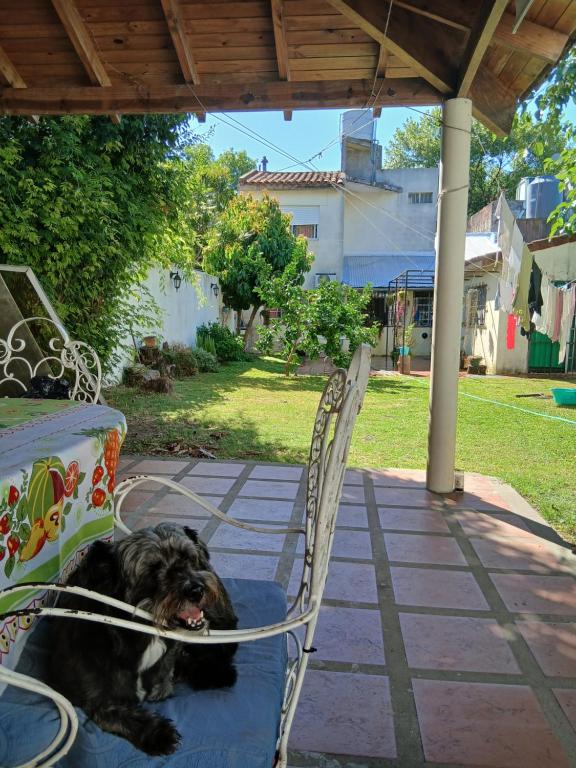 Mi casita - 2