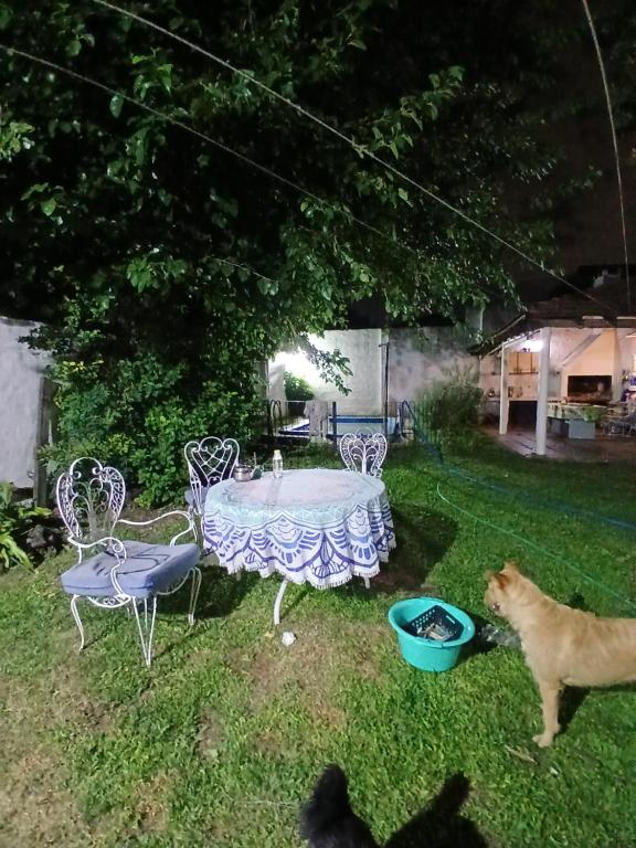Mi casita - 5