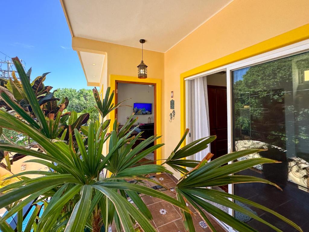 Casa Catalina - Tropical Escape - 2