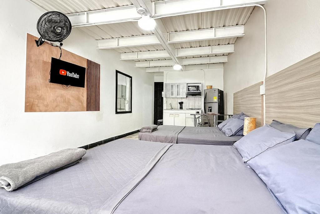 Jardin Loft - 3