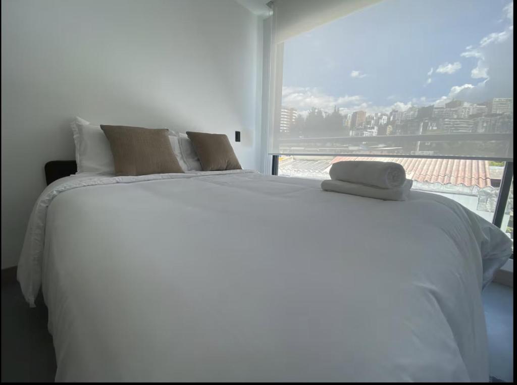 Cozy apartment in the heart of Quito - 1