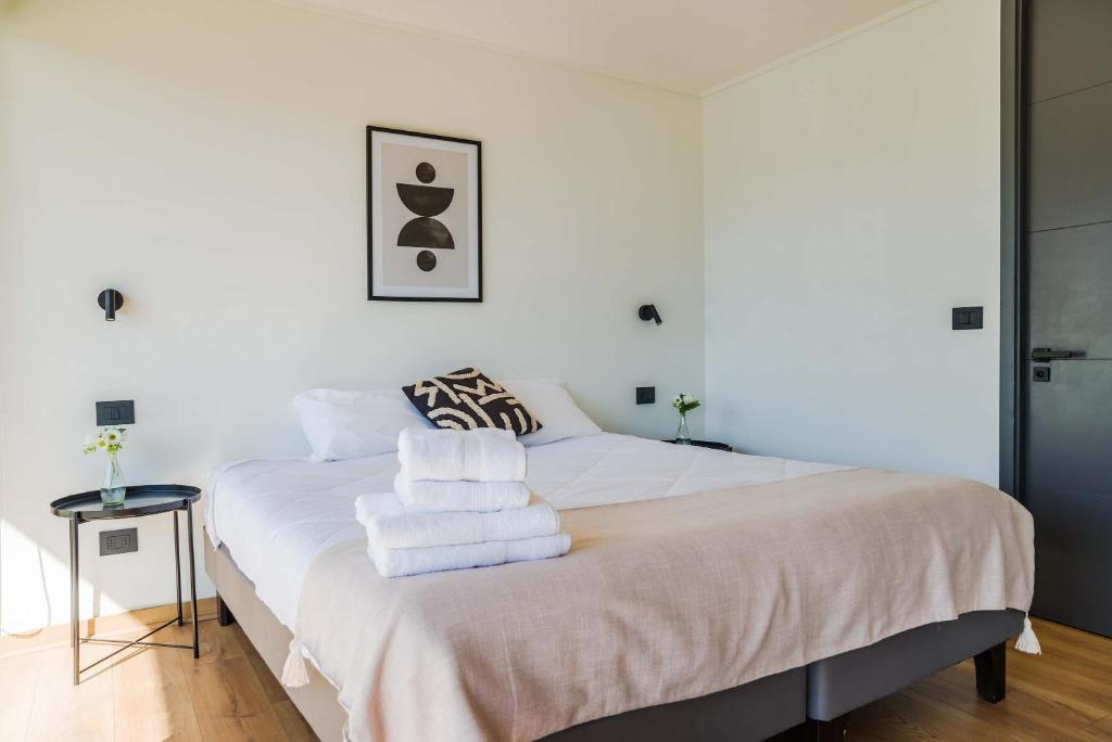 Experience comfort and spaciousness in Las Condes - 5