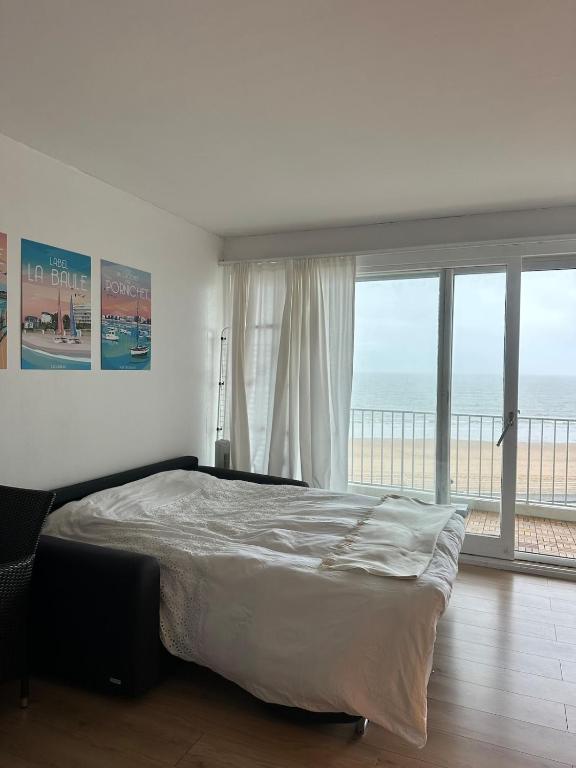 Le Baulnéaire, Vue Mer, Plage à Pied, Parking Privé - 3