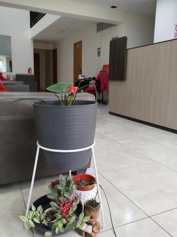 Hotel Rodilla - 2