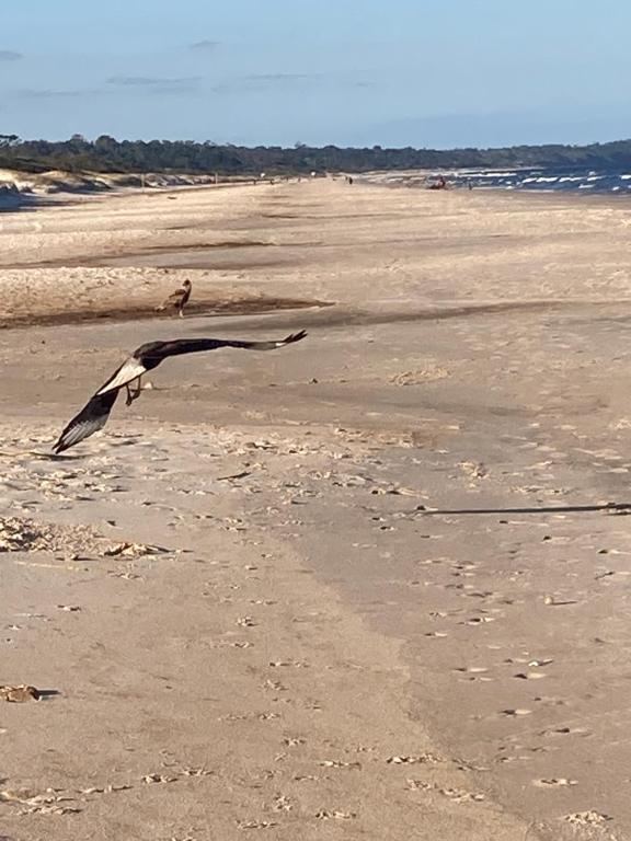 Monoambiente rodeado de Naturaleza - 2