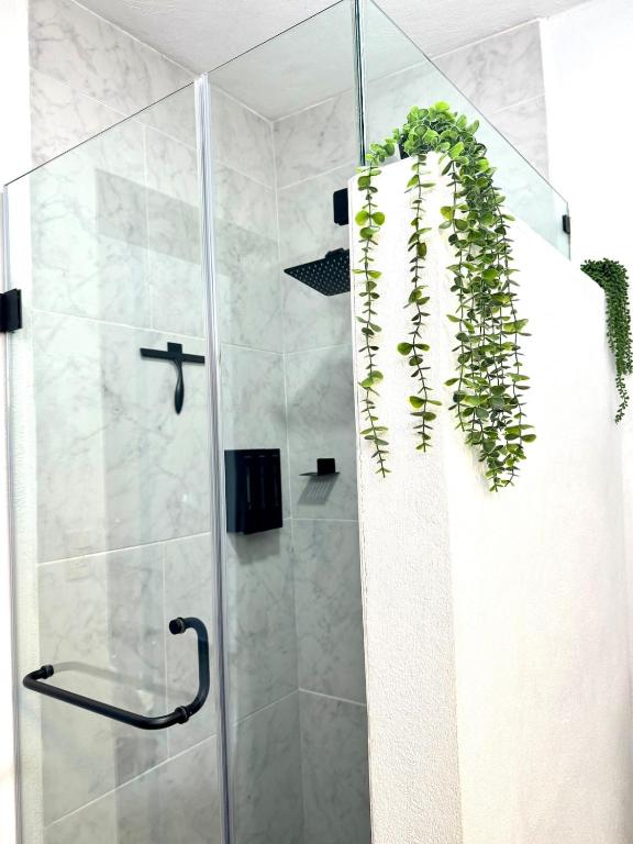Vivencia GTO 4BR Rooftop w Private Garage 15m Dtwn - 5
