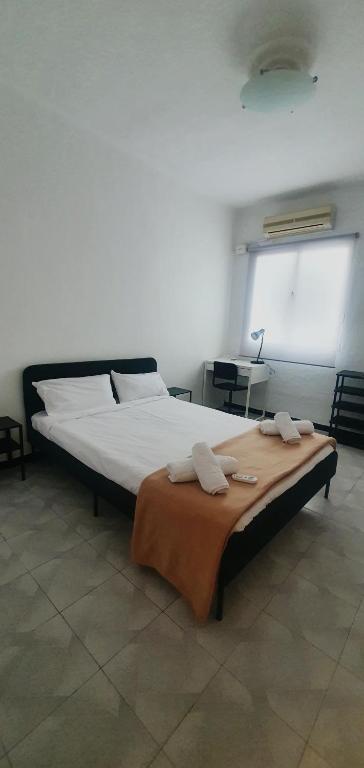 Tranquila, Céntrica y Luminosa Habitación de Matrimonio en Vivienda Compartida - 1