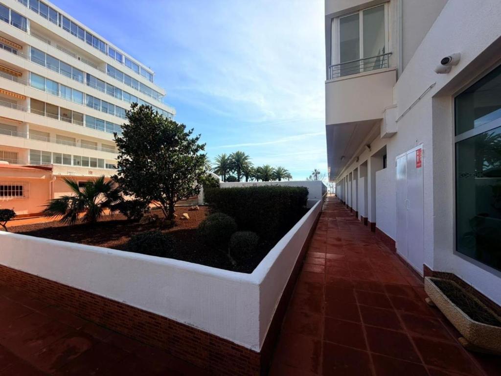 Apartamento para 6 personas en Rosas, acceso a la playa - ES-204-69 - 5
