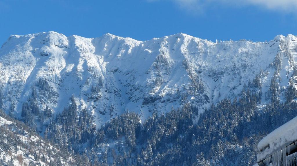 Hotel Amadeus - inclusive Skipass und vieles mehr - 5