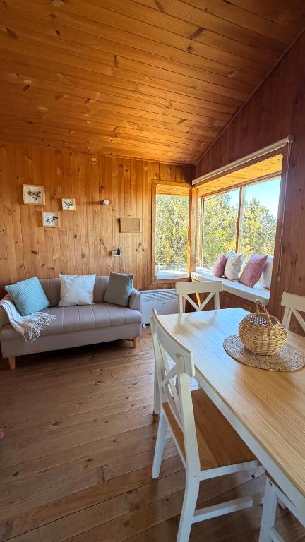 Cozy Cabin in Chiloé Wifi in Native Forest and Ocean View Retreat - 1