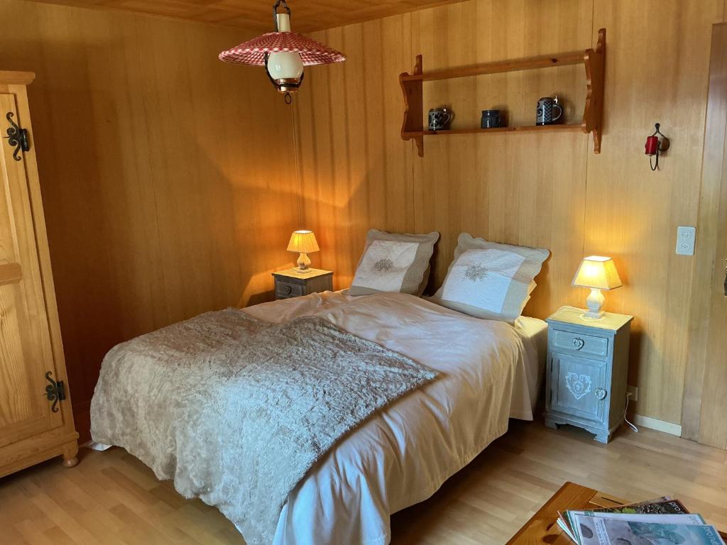 Chalet Privé avec vue imprenable sur les alpes - 4