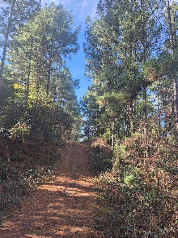 La Casa del Arroyo, Chacras Las Cañitas, Córdoba - Acceso solo 4x4 - 3