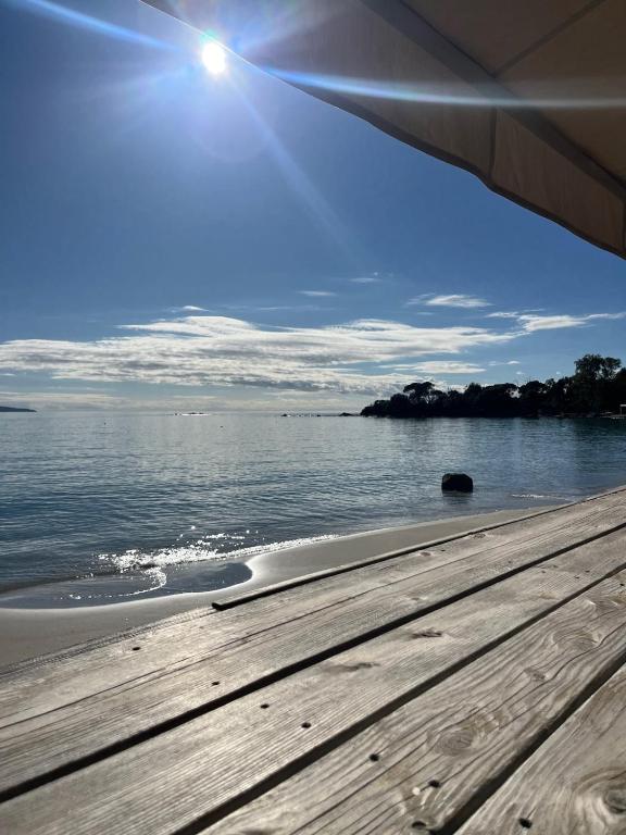 Magnifique appartement vue et accès mer Sanguinaires - 5