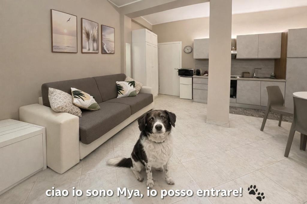 CASA MYA - 4