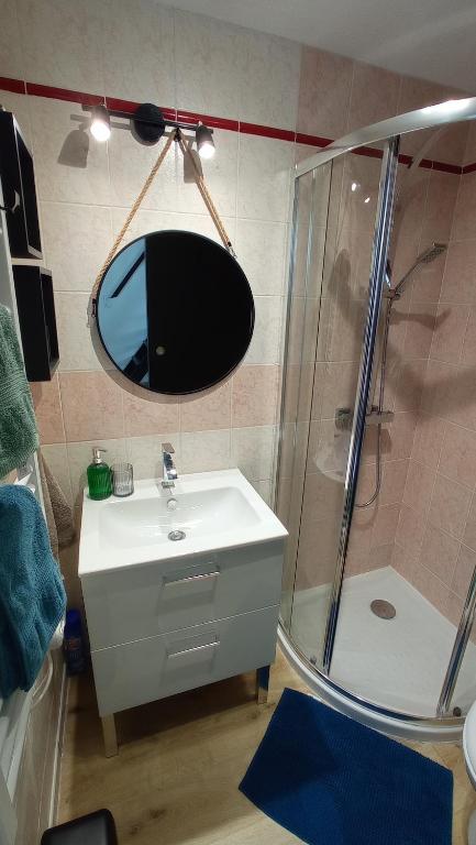 Appartement proche Zenith & Polyclinique - 5