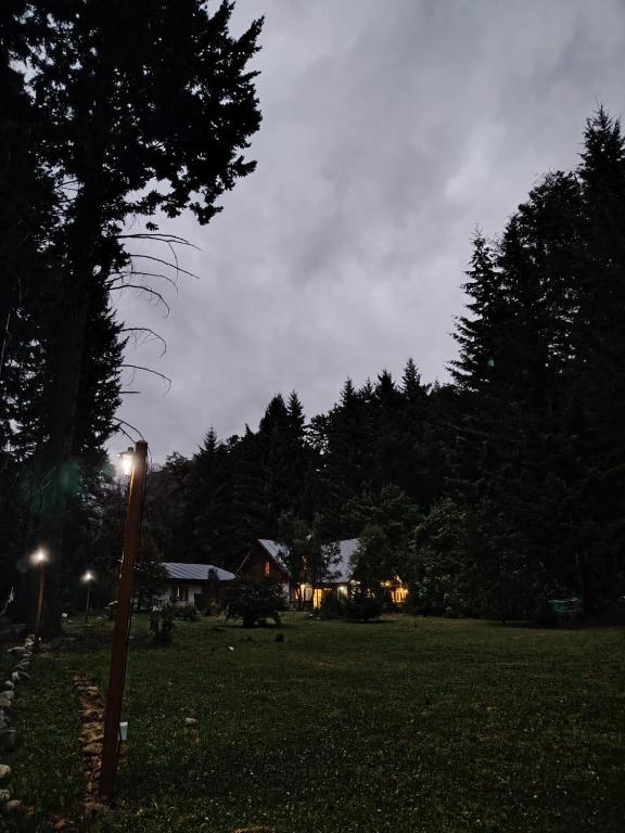 Bosque Hostel - 5