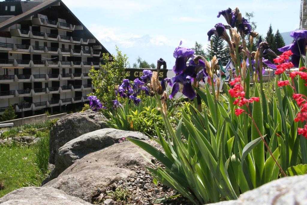 Appartement voor rustzoeker in wandel- en ski gebied Wallis - 2